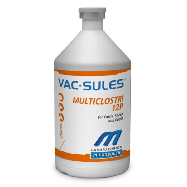 Multiclostri 12P
