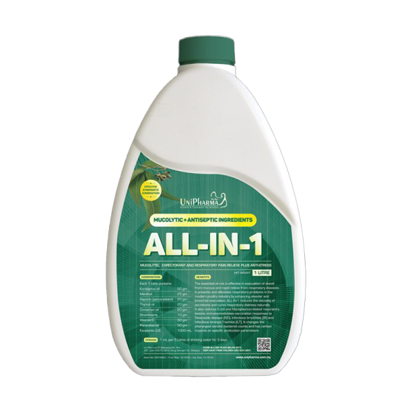 All In  1