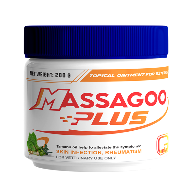 Massagoo Plus