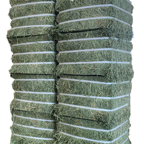 Alfalfa Hay Small Bales